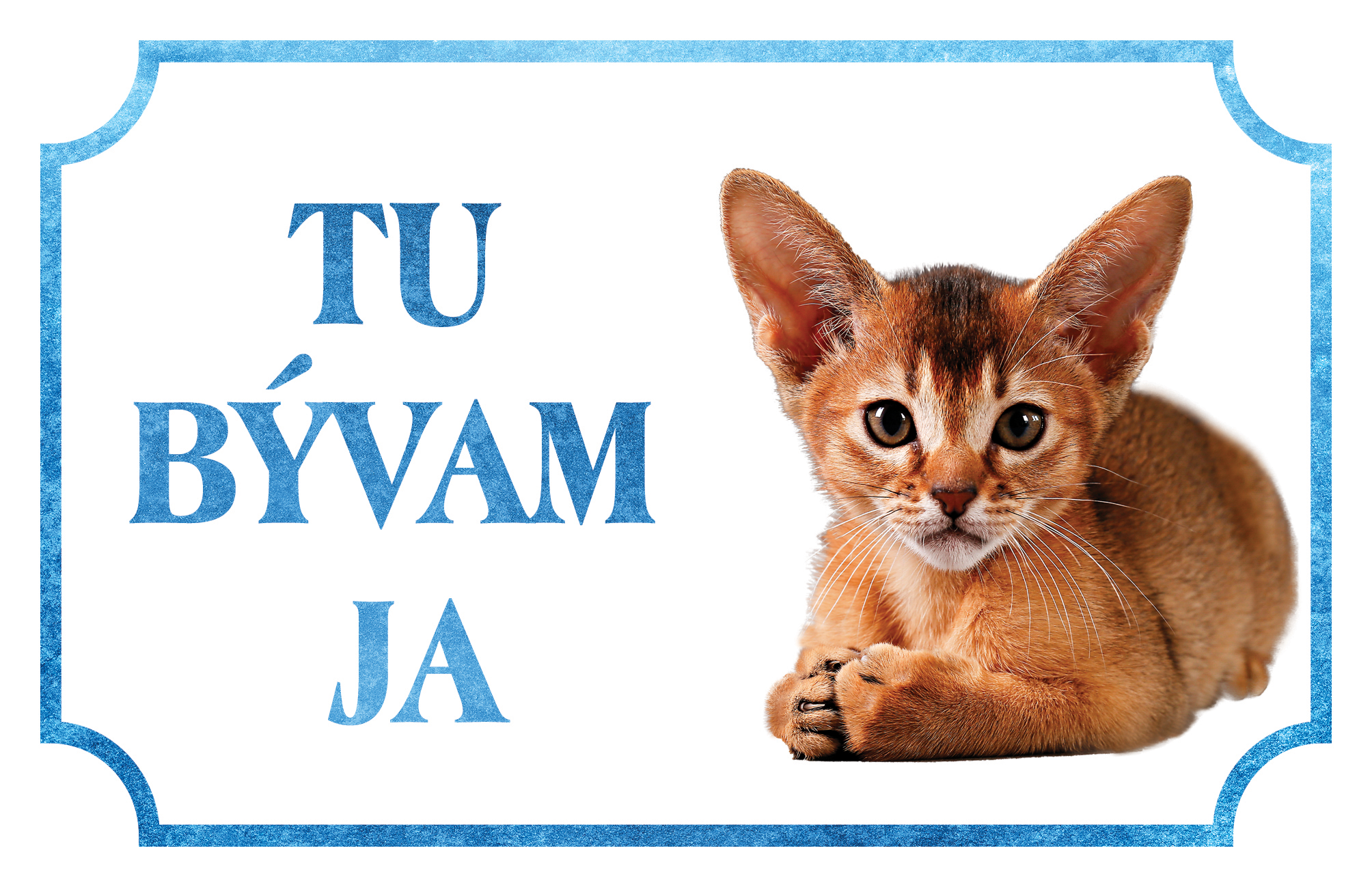 [object Object]fotka1