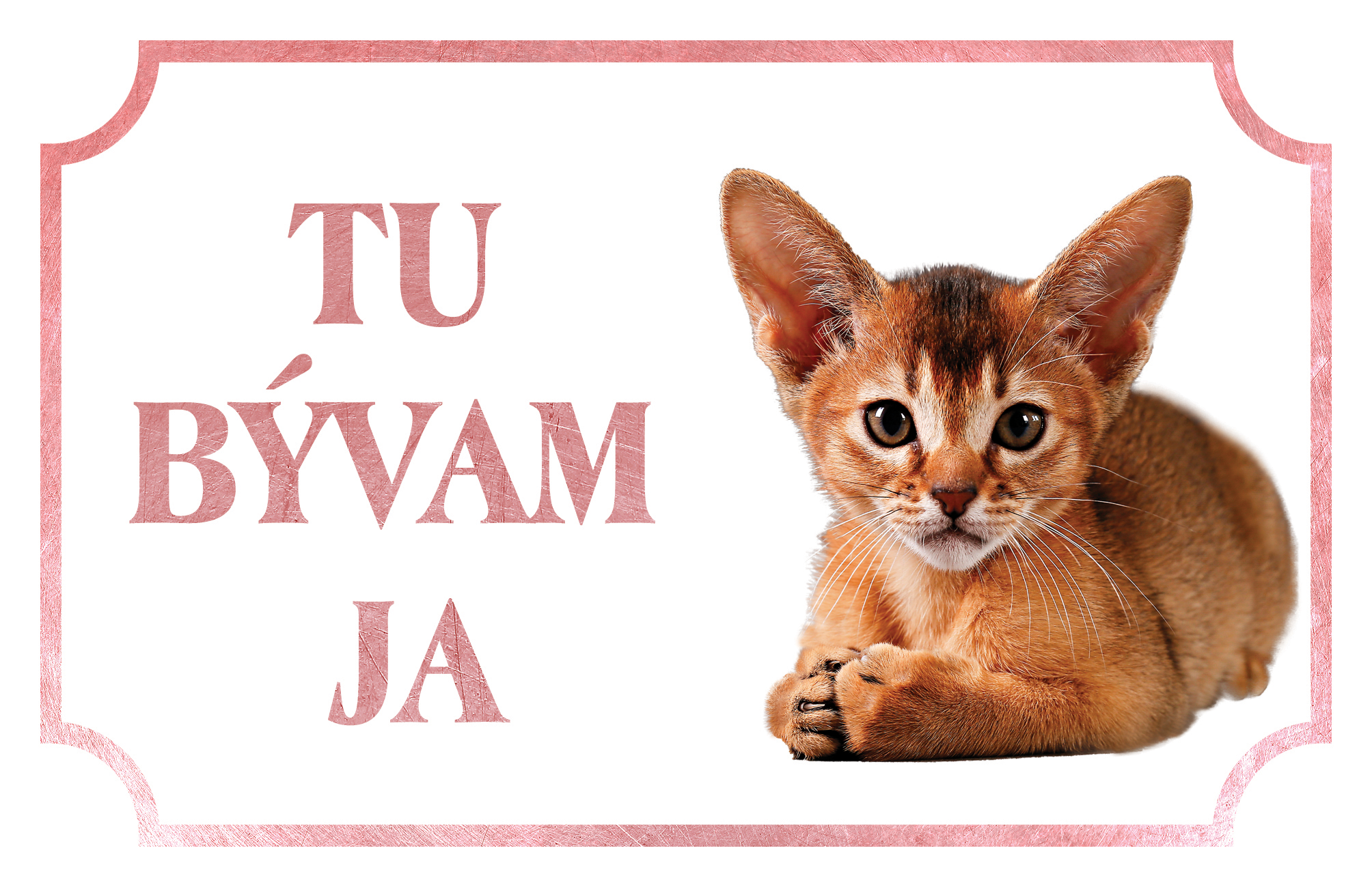 [object Object]fotka2