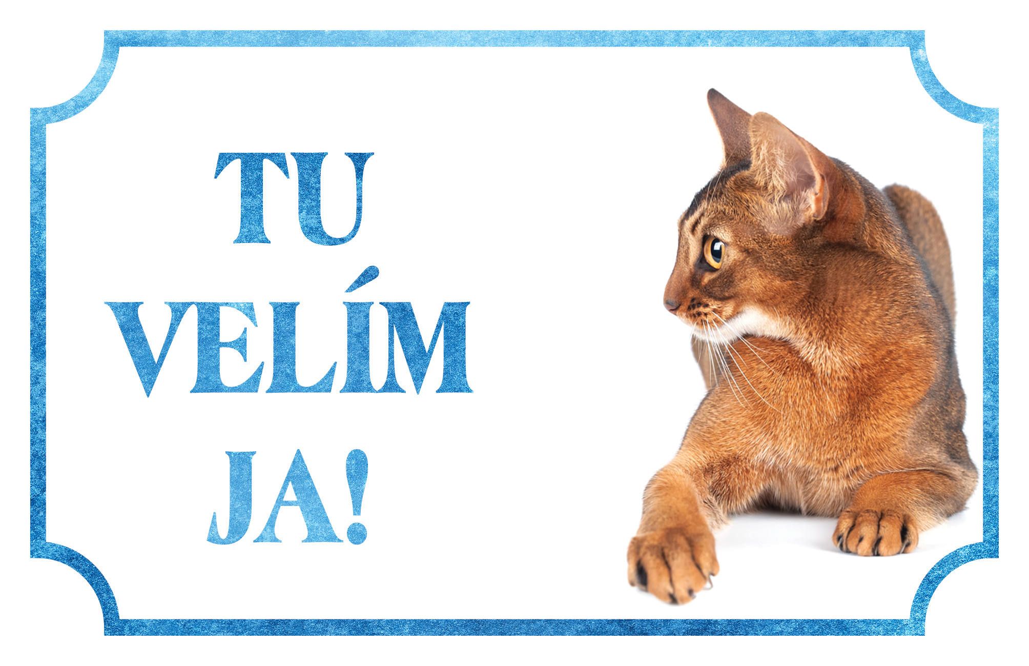 [object Object]fotka1