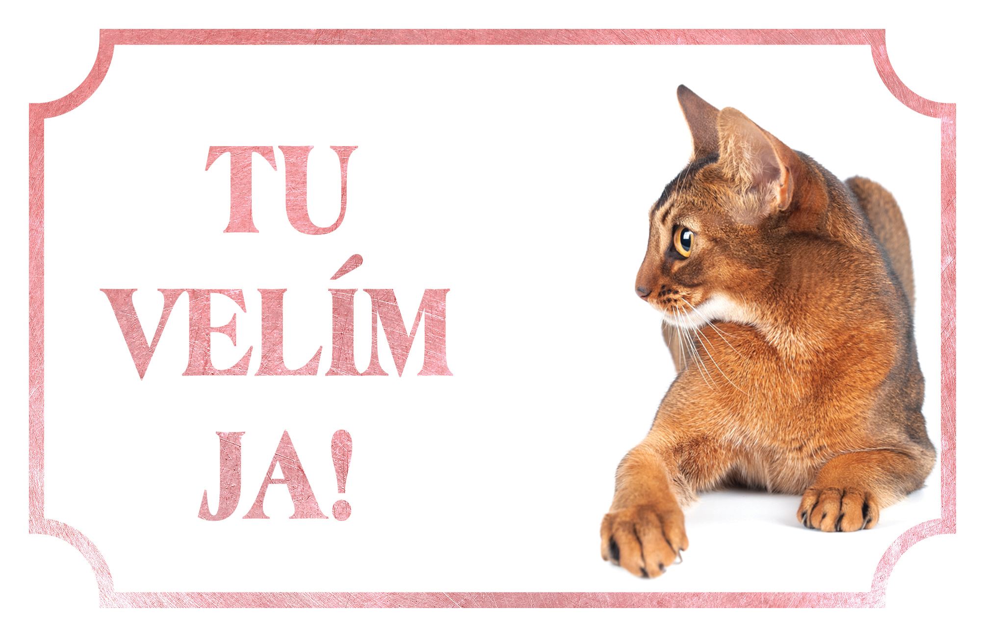 [object Object]fotka2