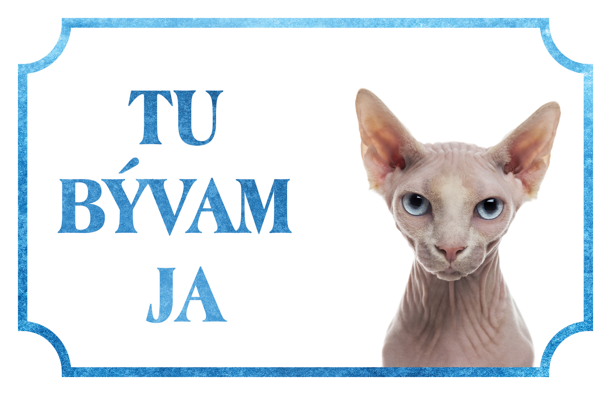 [object Object]fotka1