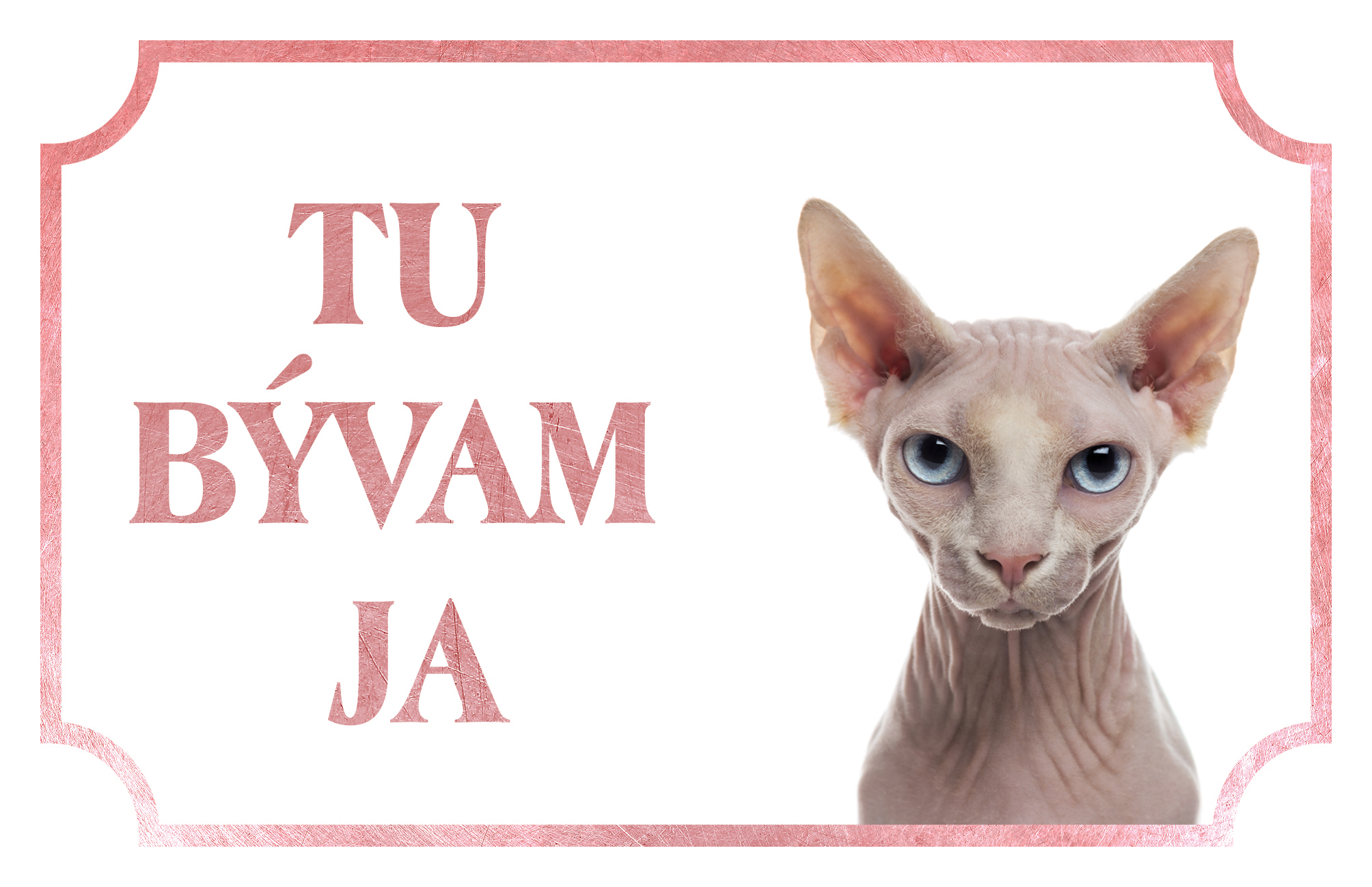 [object Object]fotka2