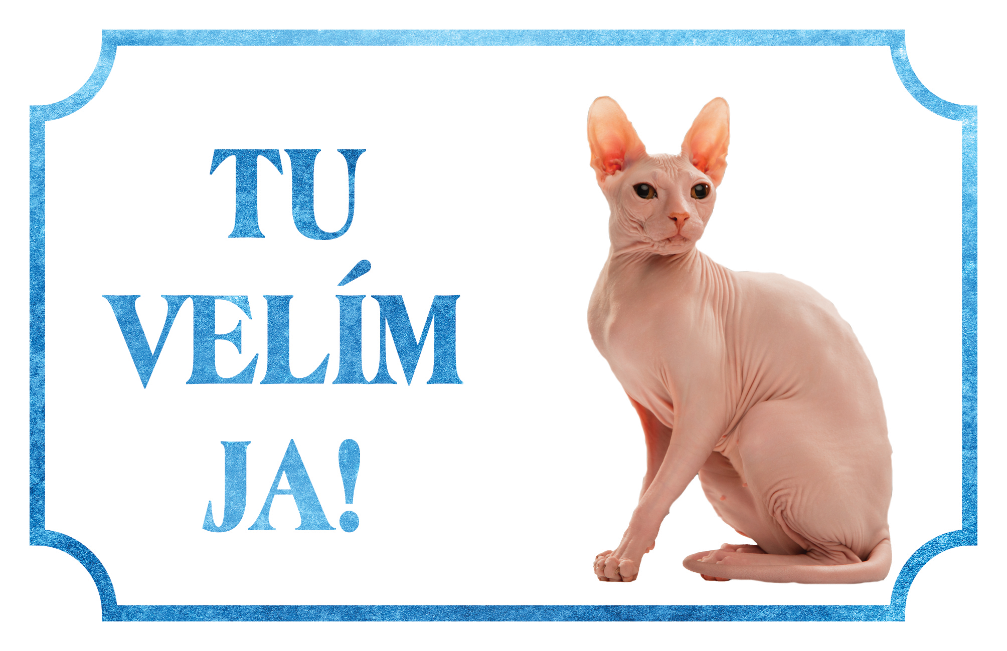 [object Object]fotka1