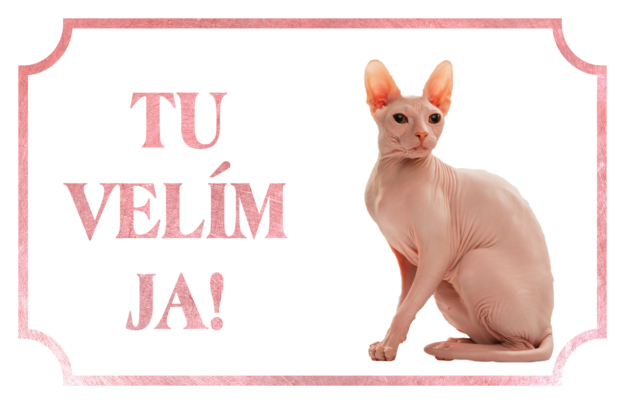 [object Object]fotka2