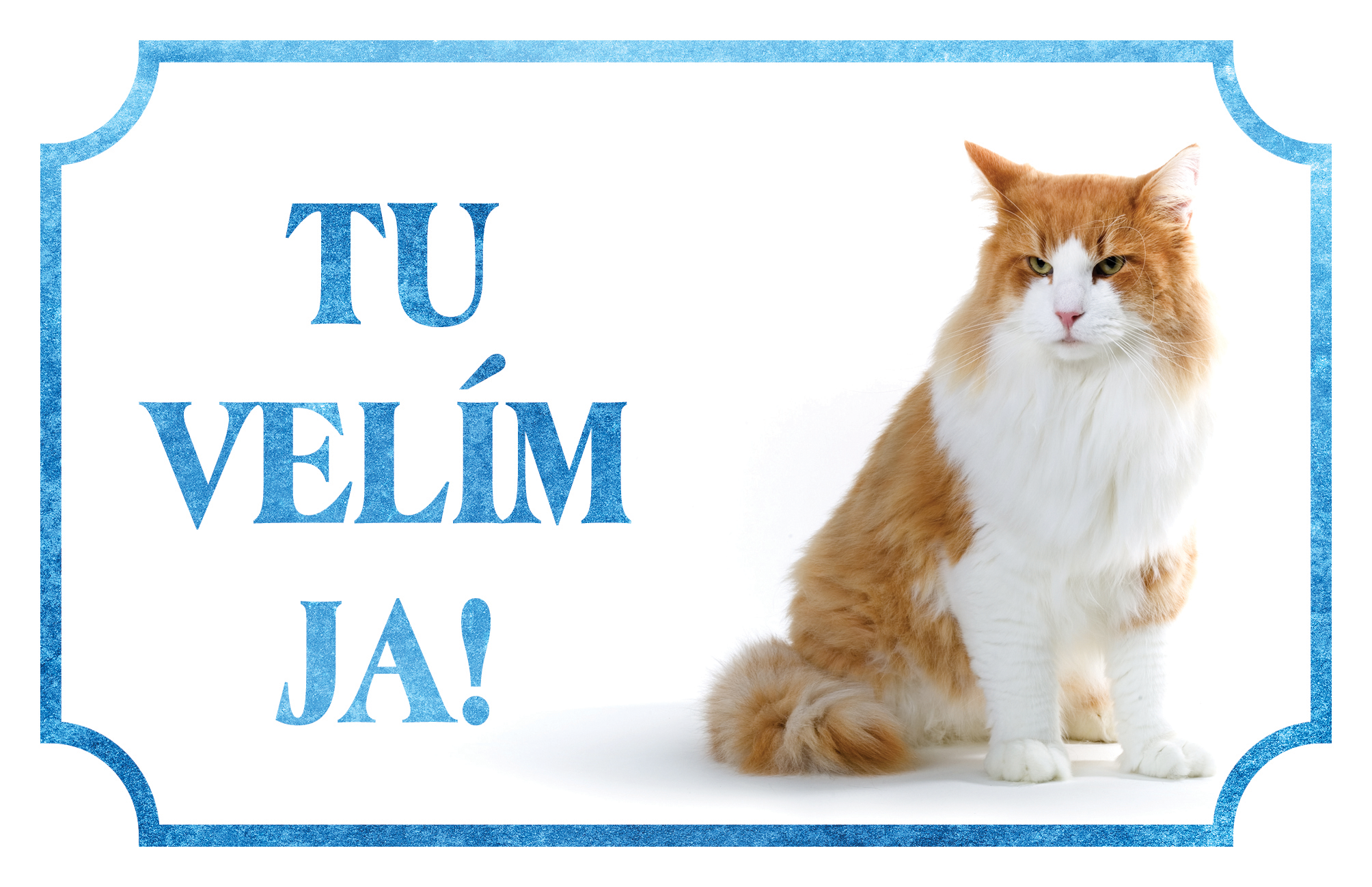 [object Object]fotka1