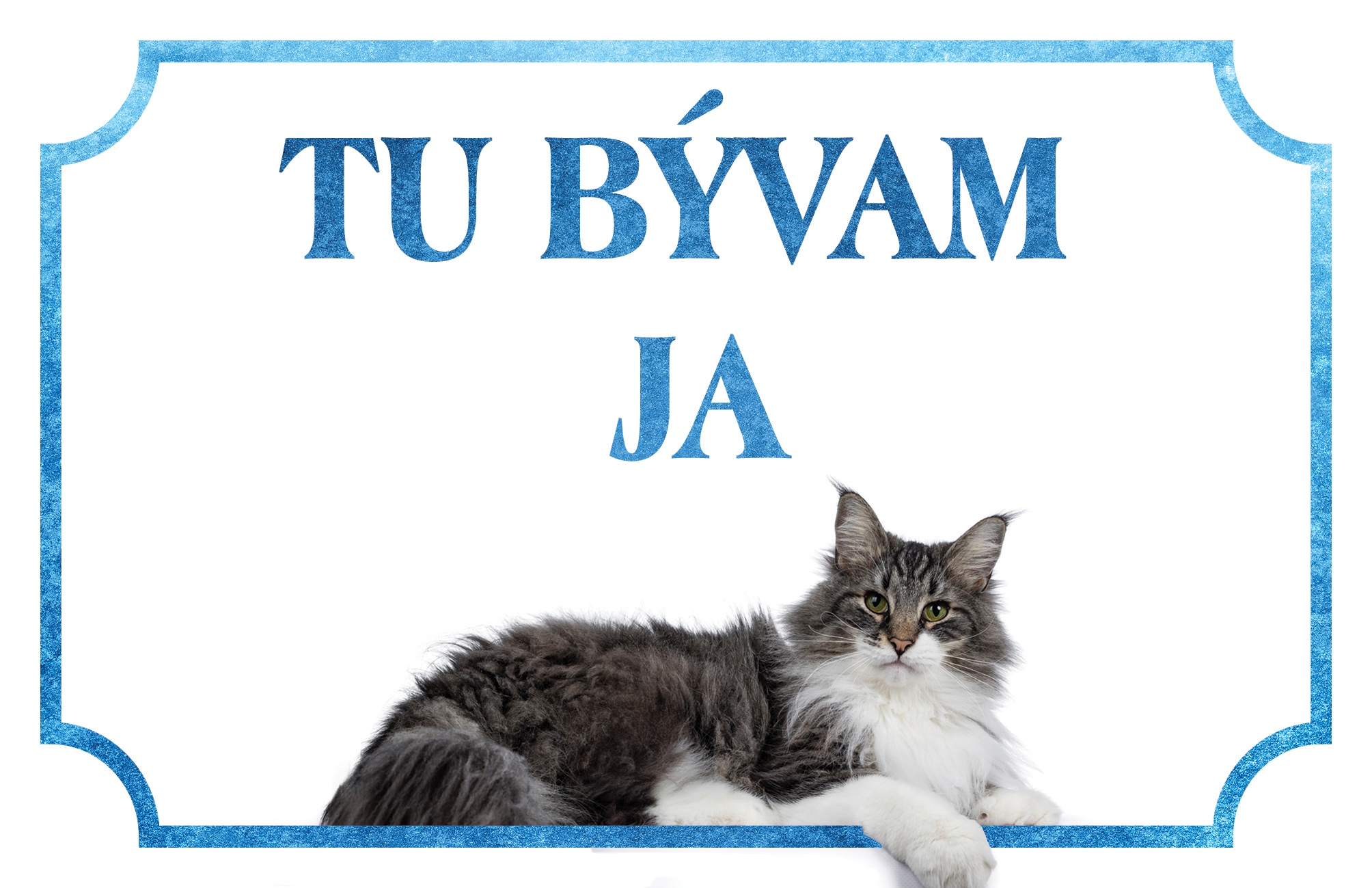 [object Object]fotka1