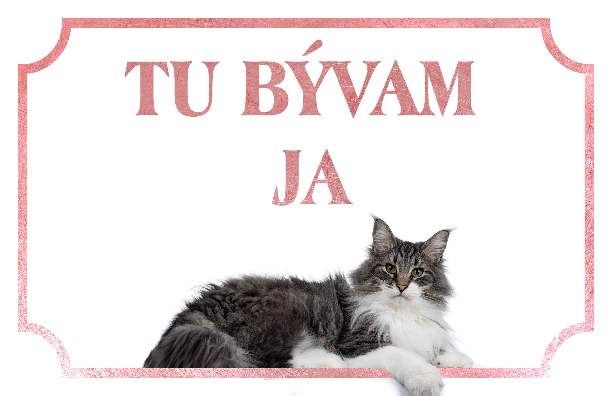 [object Object]fotka2