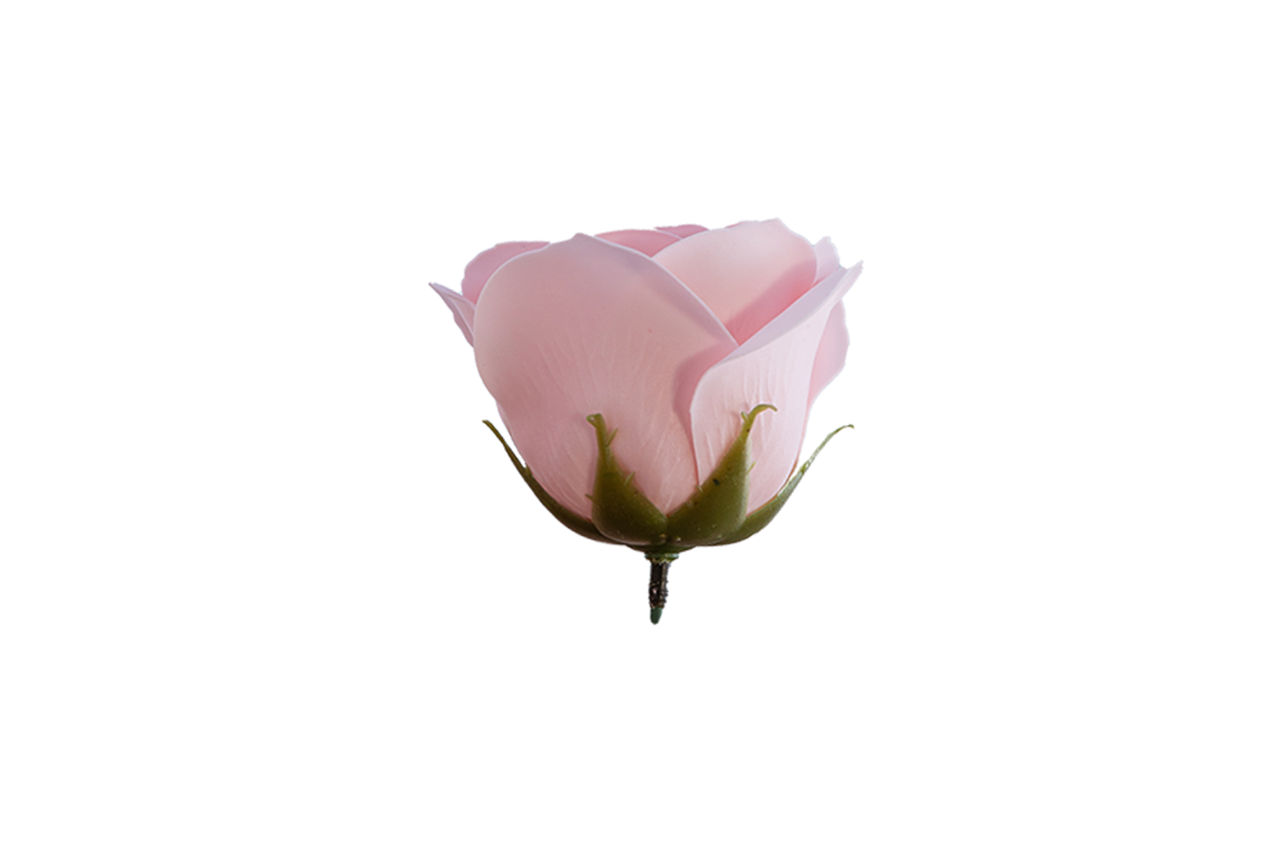 [object Object]fotka1