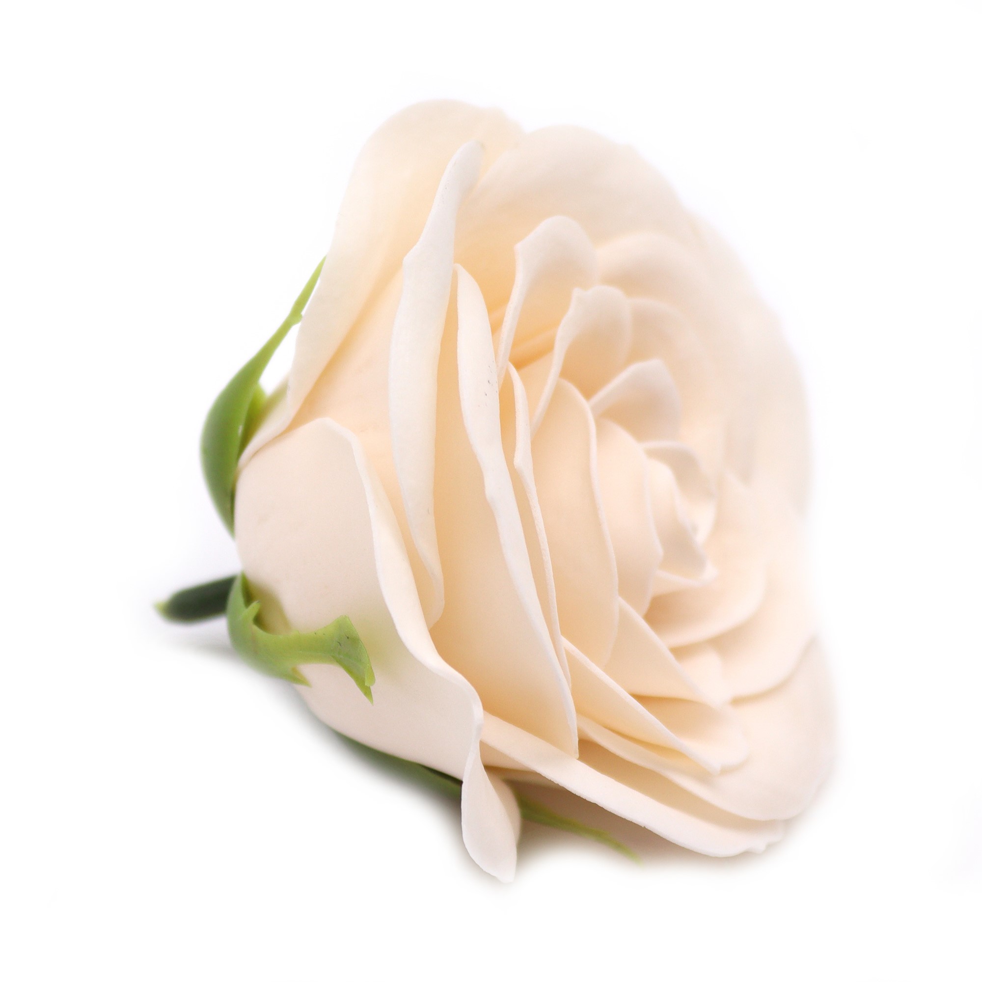 [object Object]fotka3