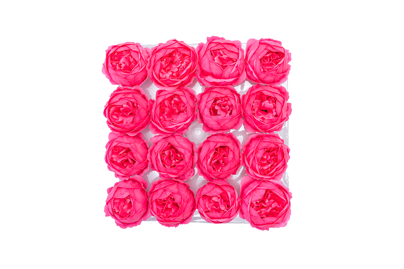 [object Object]fotka1