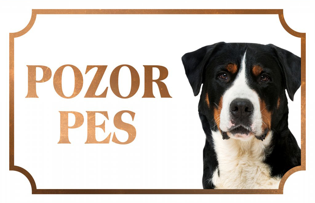 [object Object]fotka2