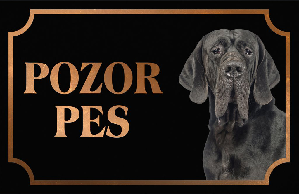 [object Object]fotka2