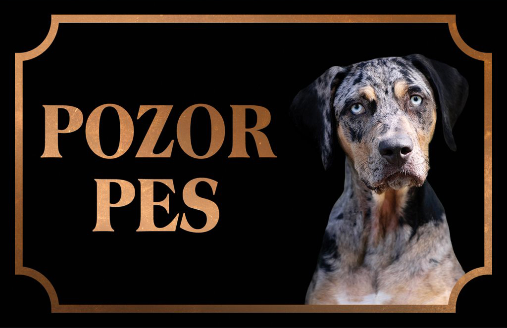 [object Object]fotka2