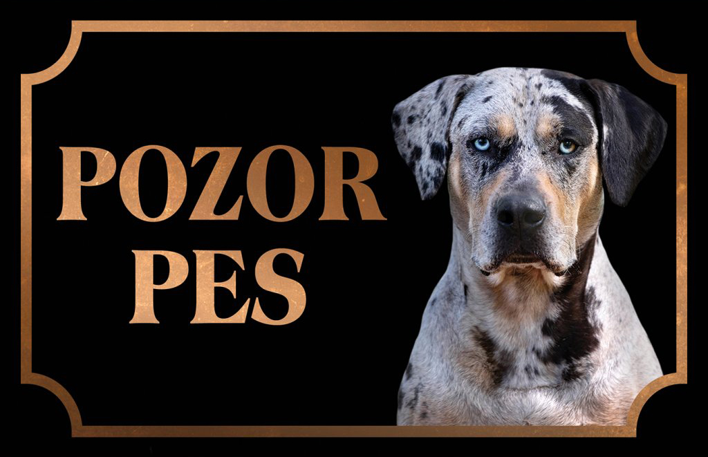 [object Object]fotka2