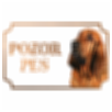 Svätohubertský pes (Bloodhound) - Kovová tabuľka POZOR PES