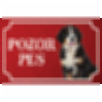 Bernský salašnícky pes - Kovová tabuľka POZOR PES