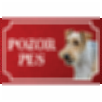 Drsnosrstý foxteriér - Kovová tabuľka POZOR PES