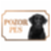 Labradorský retríver - Kovová tabuľka POZOR PES