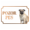 Mops - Kovová tabuľka POZOR PES