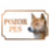 Novoquinejský dingo - Kovová tabuľka POZOR PES