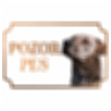 Uruquajský cimarron - Kovová tabuľka POZOR PES