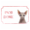 Sphynx