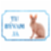 Sphynx